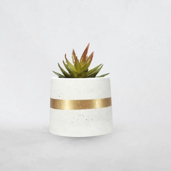 white Cylindrical Planter with plant(1)